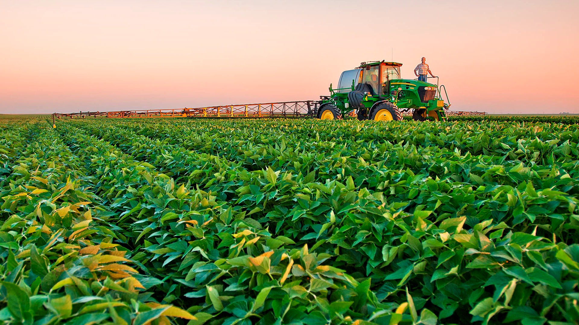Sensores, ERP, plataformas de campo y datos satelitales generan información valiosa para la agroindustria, pero si los sistemas no se hablan entre sí, esa información pierde valor. Descubrí cómo integrar datos, automatizar procesos y aplicar IA para lograr una operación más trazable, eficiente y preparada para tomar decisiones en tiempo real.